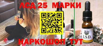 индика Пенза