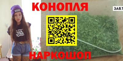 индика Пенза