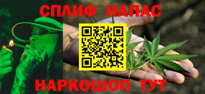 индика Пенза