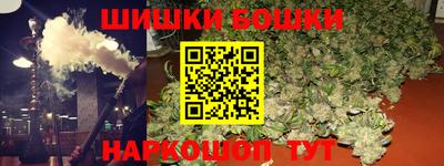 индика Пенза
