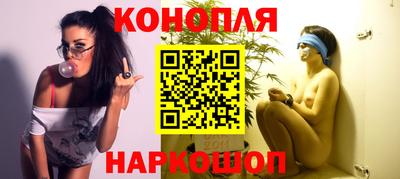 индика Пенза