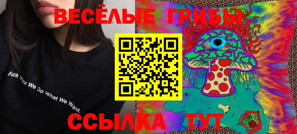 Галлюциногенные грибы Psilocybe  Вход с VPN  хочу   Сибай 